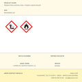 INSECTICIDA PREBEN PARA AVISPAS 250 ml