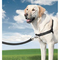 ARNÉS EASY WALK NEGRO GRANDE 69-101 cm