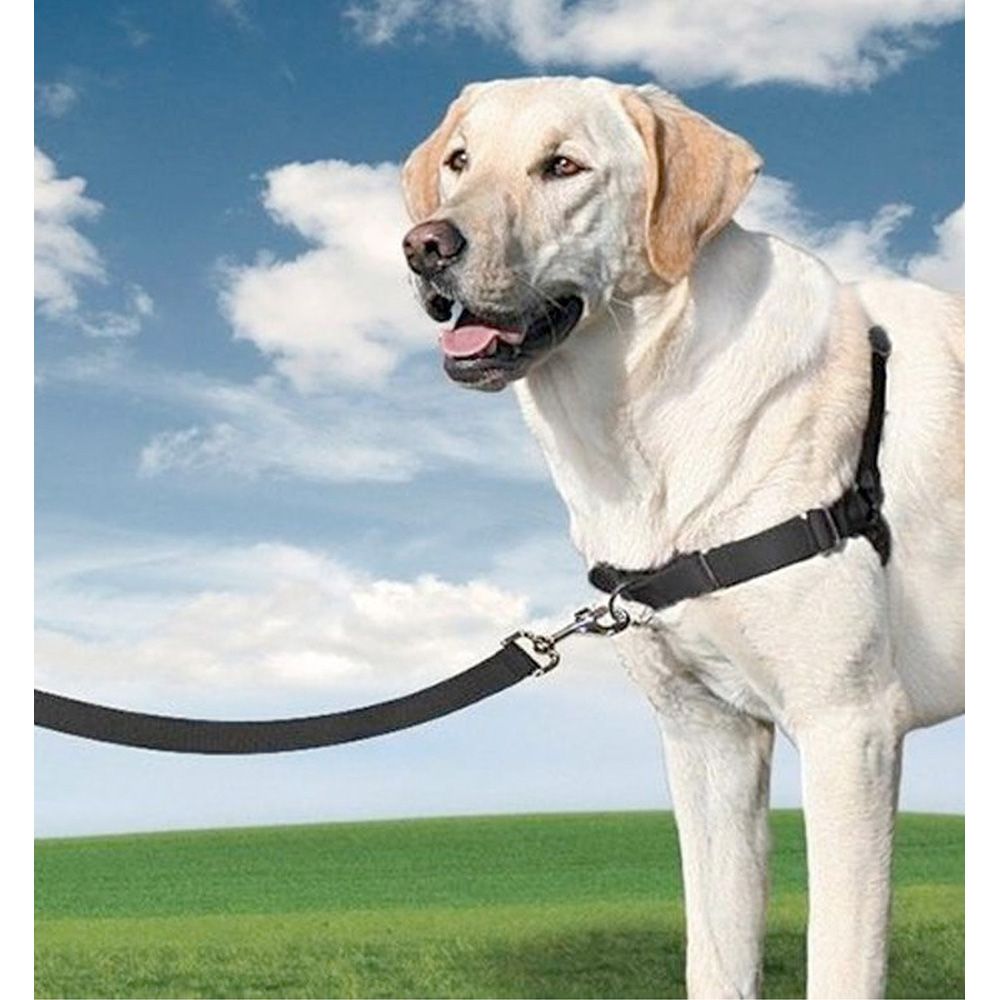 ARNÉS EASY WALK NEGRO GRANDE 69-101 cm
